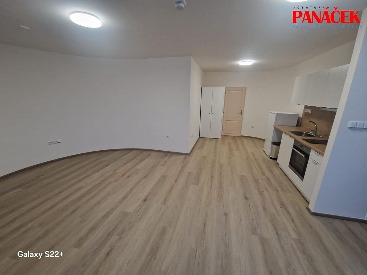 Pronájem bytu 1+1 46 m² – fotografie 5