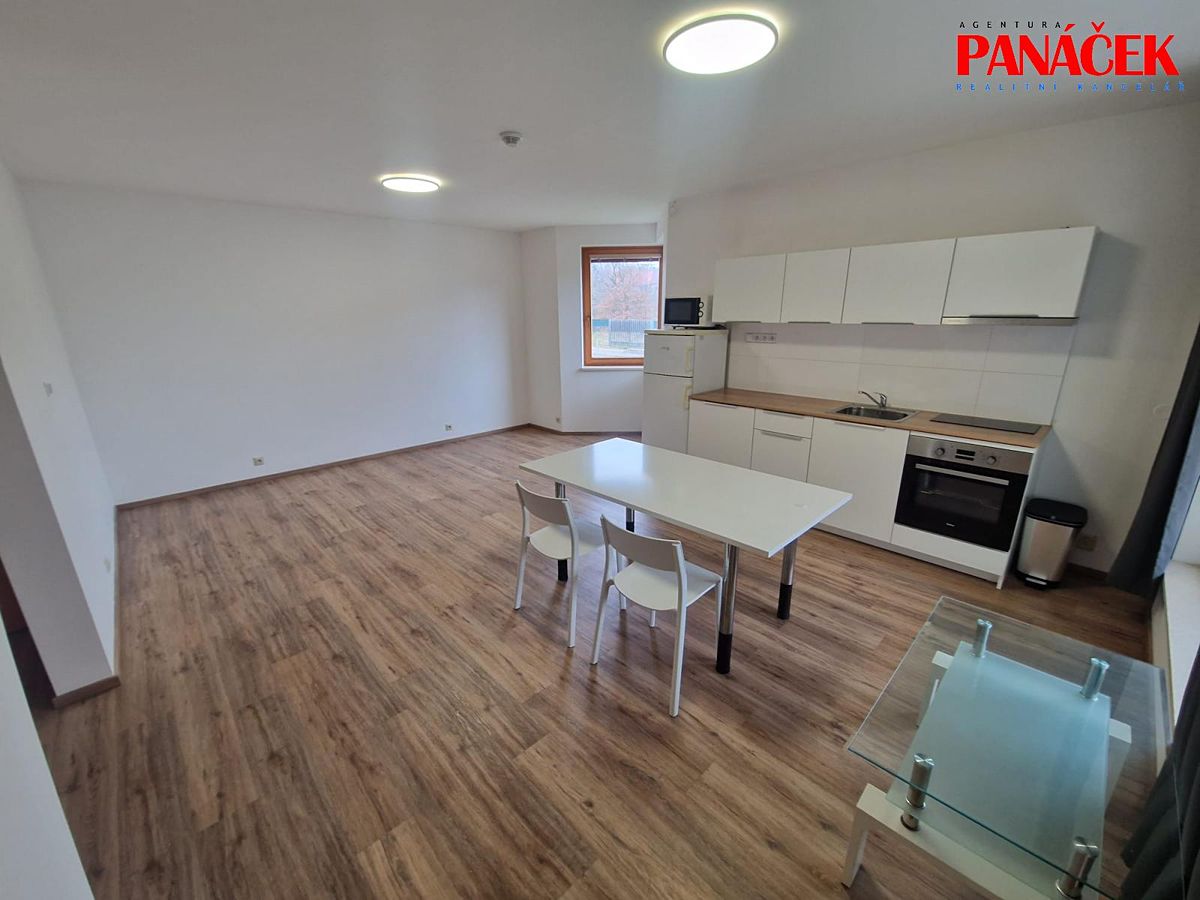 Pronájem bytu 1+1 46 m²