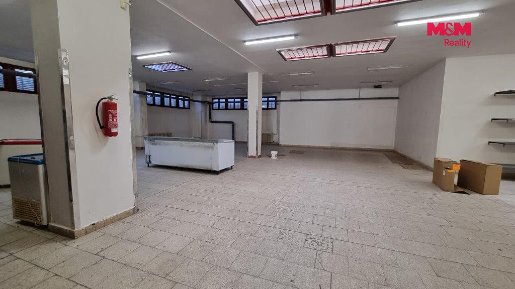 Pronájem obchodního prostoru 739 m² – fotografie 3
