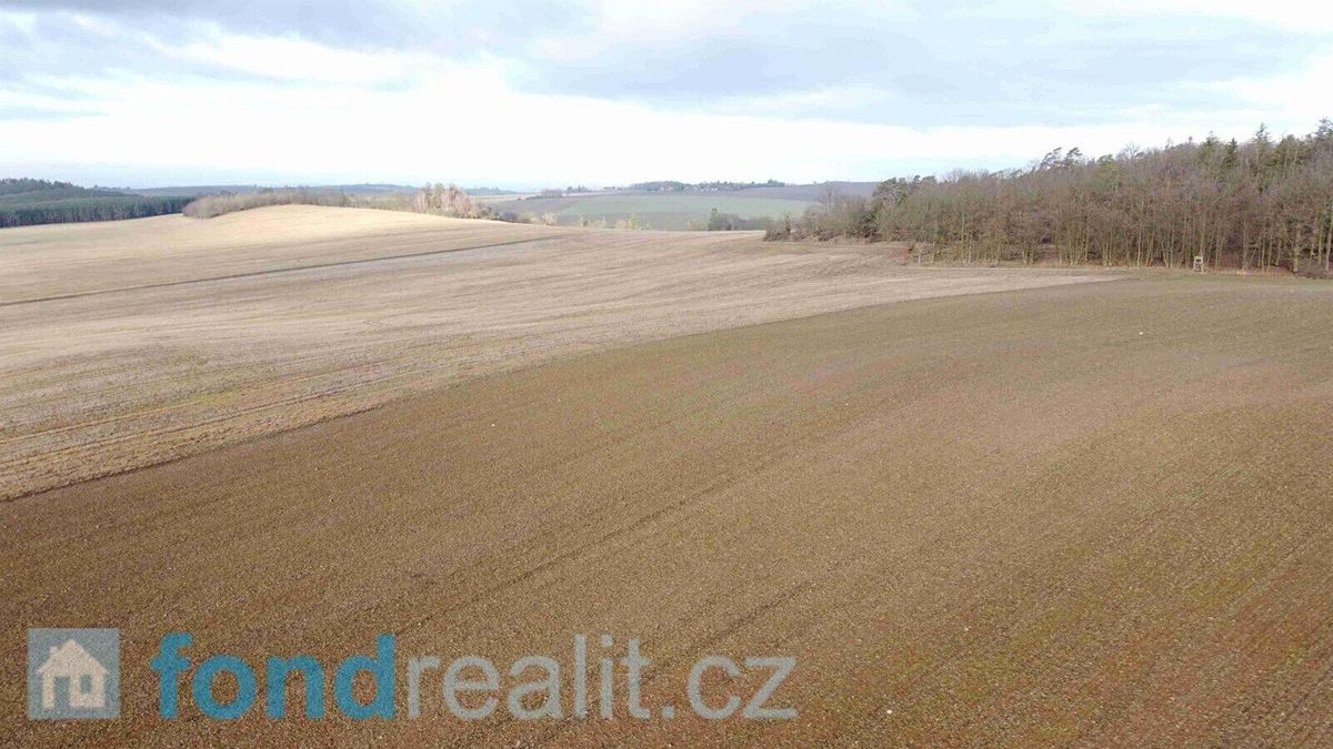 Prodej pole 2574 m² – fotografie 3