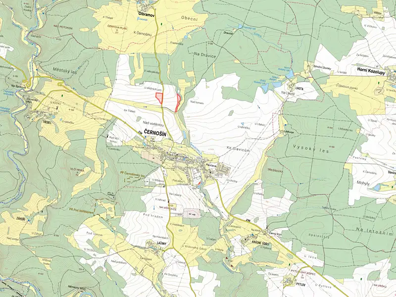 Prodej pole 32562 m², Černošín – náhled fotky 3