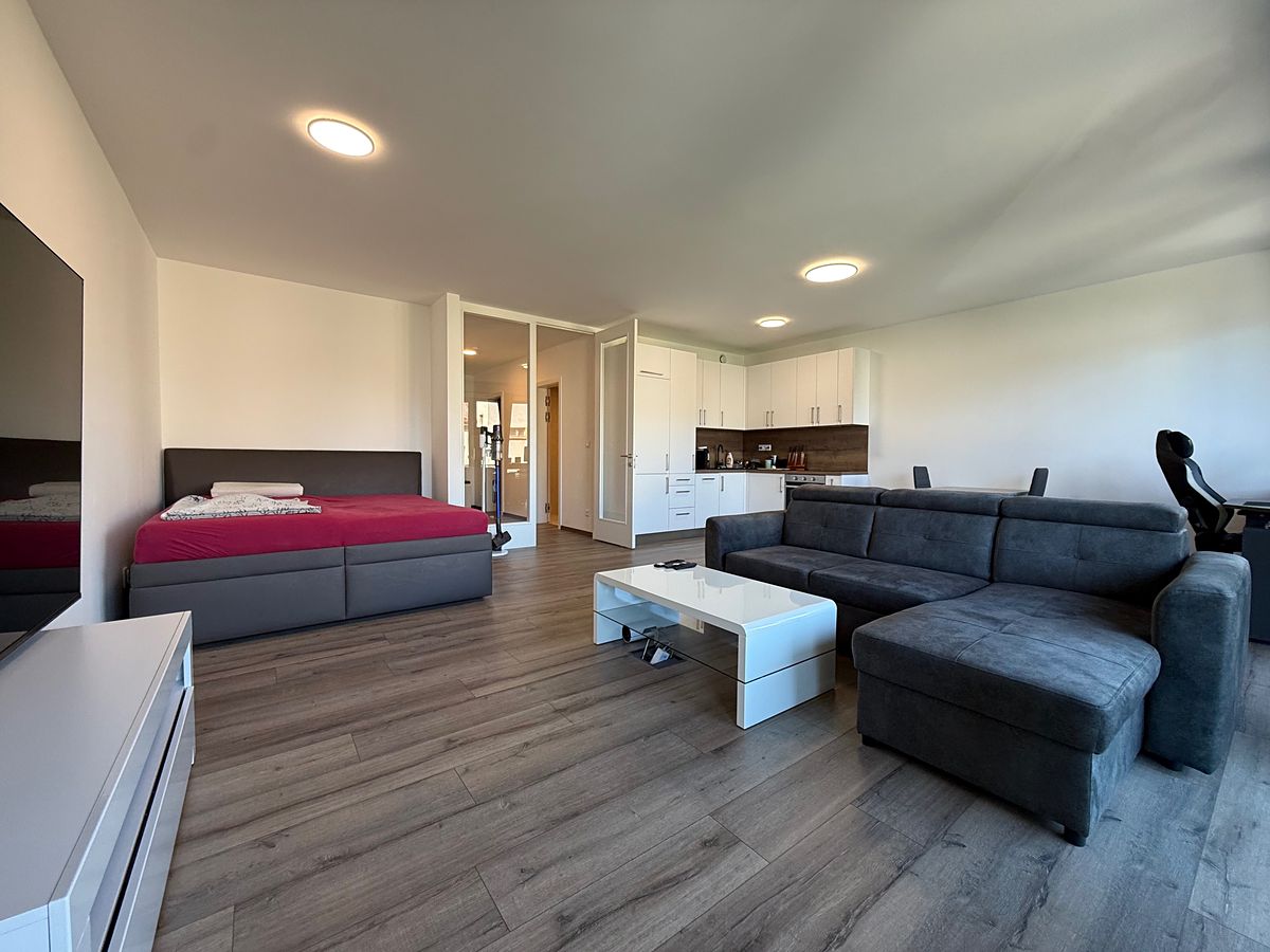 Pronájem bytu 1+kk 60 m² – fotografie 2