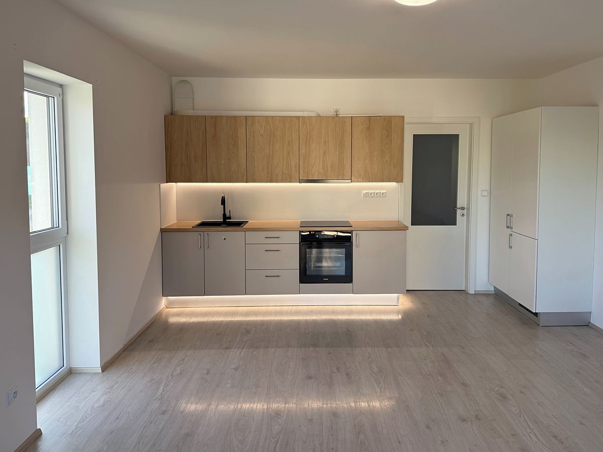 Pronájem bytu 1+kk 46 m²