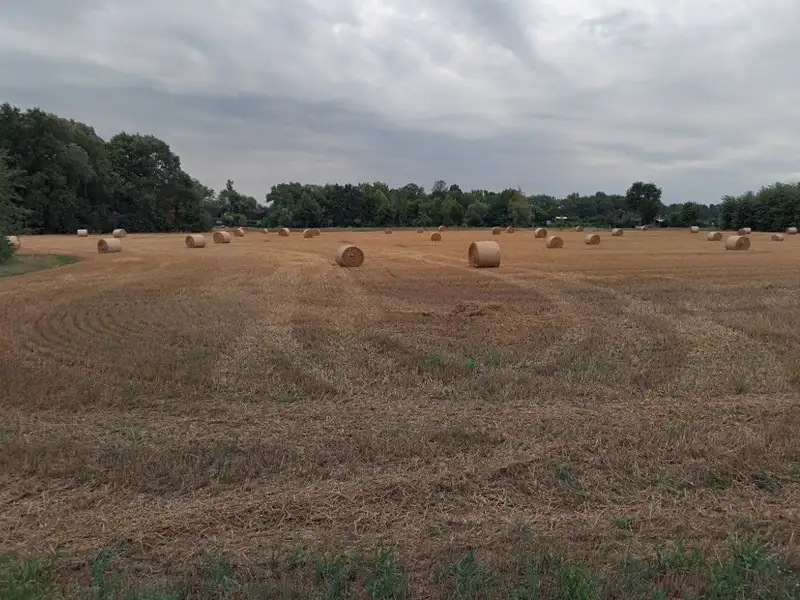 Prodej pole 3048 m², Staré Hradiště – náhled fotky 2
