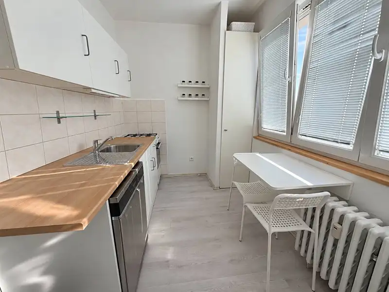 Pronájem bytu 1+1 36 m², Praha – náhled fotky 1
