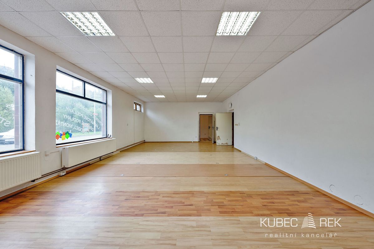 Prodej obchodního prostoru 237 m² – fotografie 5