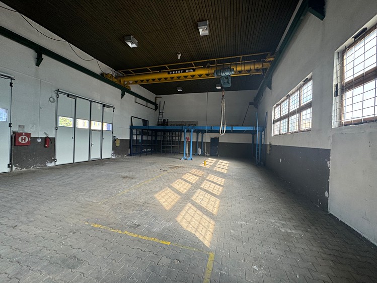 Pronájem komerčního prostoru, 260 m² (1 z 9)