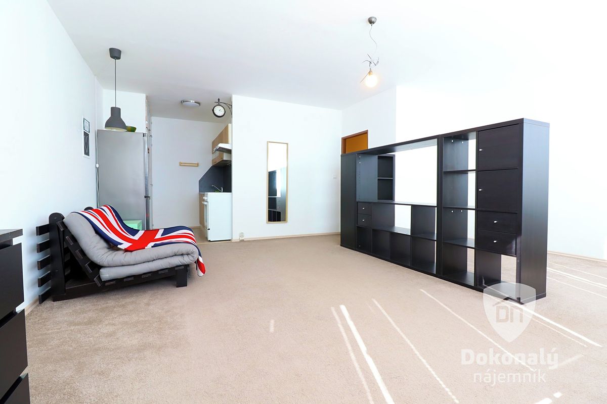 Pronájem bytu 1+kk 43 m²