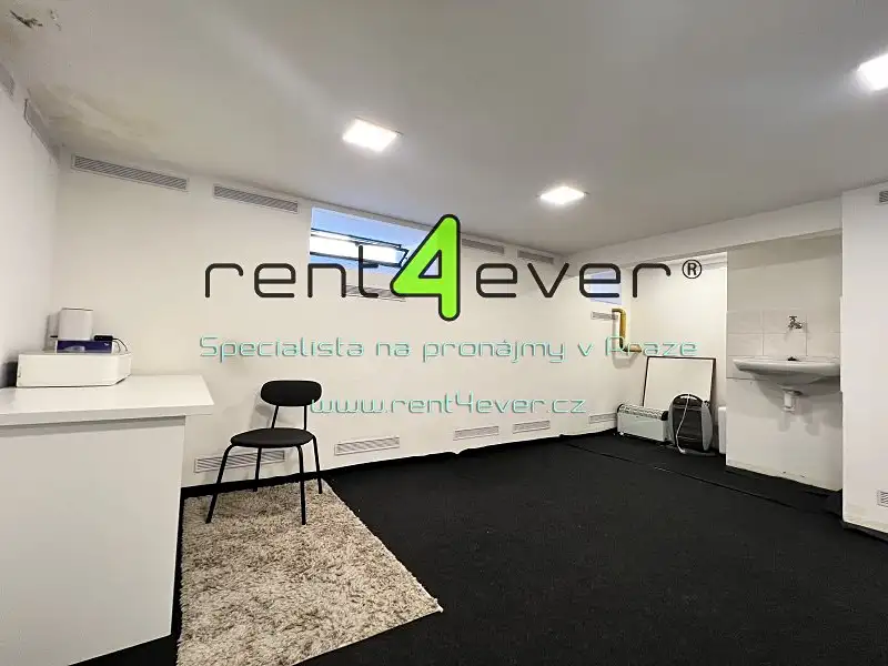 Pronájem skladového prostoru 30 m², Praha – náhled fotky 1