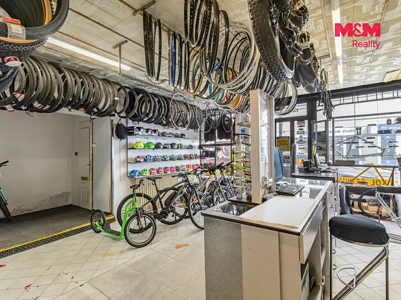 Prodej rodinného domu 300 m², pozemek 312 m², Frýdek-Místek – náhled fotky 2