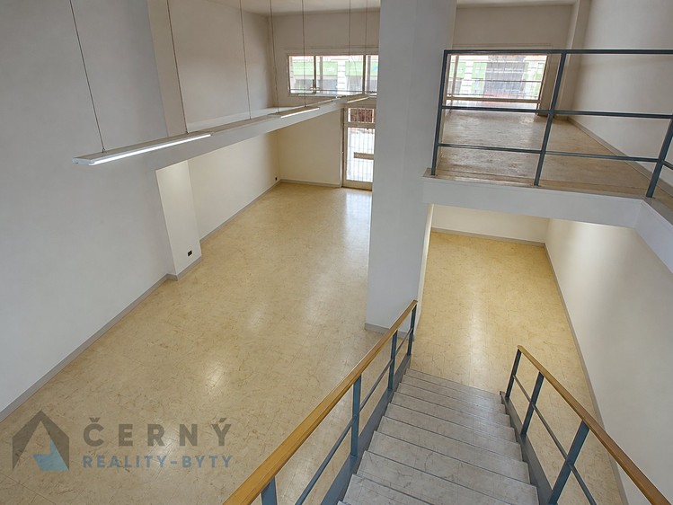 Prodej komerčního prostoru, 266 m² (5 z 12)