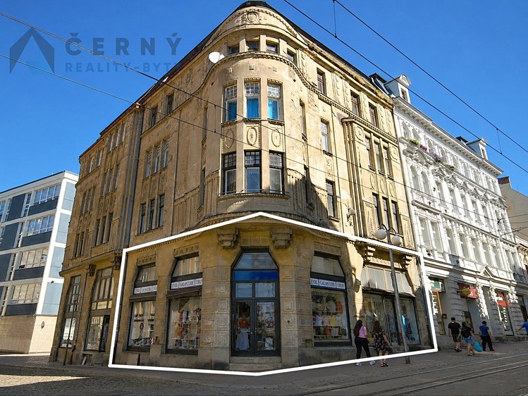 Prodej komerčního prostoru, 266 m² (1 z 12)