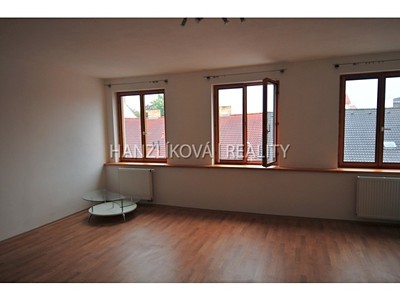 Wohnung 1+kk zur Miete, 30 m² (2 von 10)