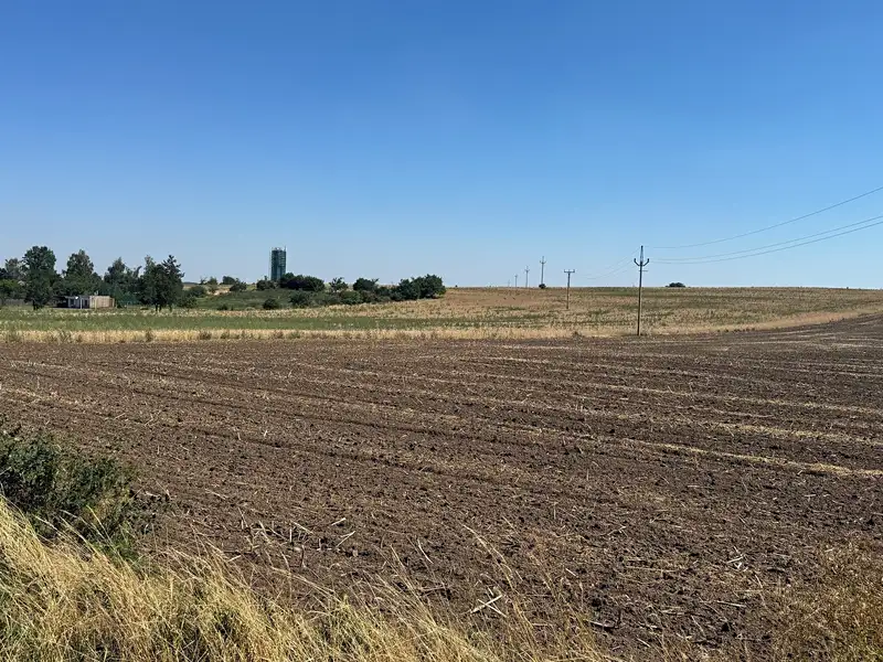 Prodej komerčního pozemku 28748 m², Tuřany – náhled fotky 2