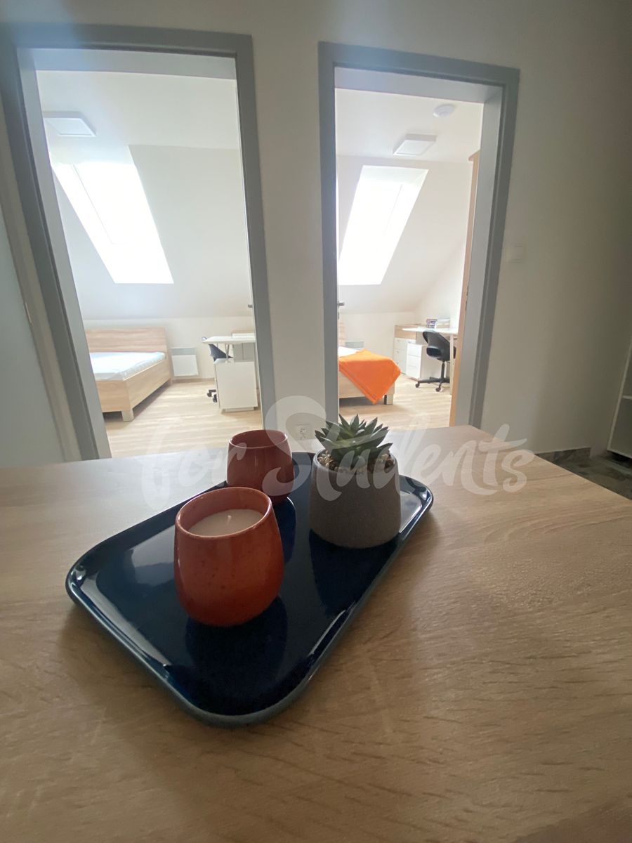 Pronájem bytu 3+kk 58 m² – fotografie 5