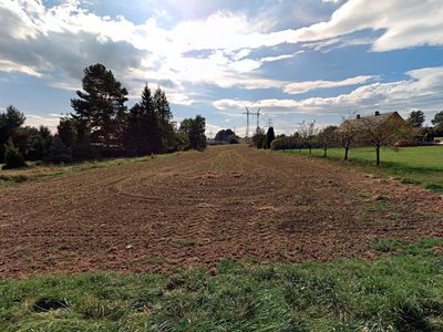 Prodej pole 8756 m²