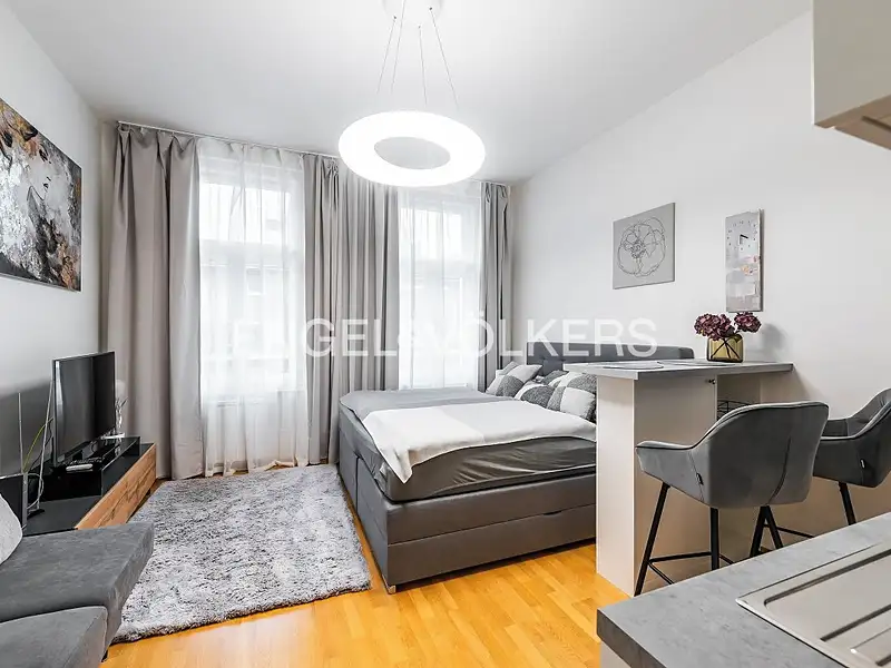Pronájem bytu 1+kk 30 m², Praha – náhled fotky 1