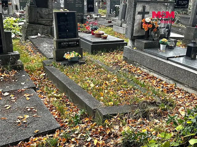 Prodej specifického typu nemovitosti 3 m², Plzeň – náhled fotky 2