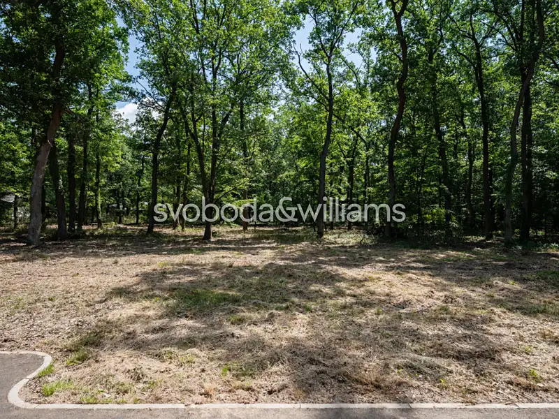 Prodej stavebního pozemku 2829 m², Hradištko – náhled fotky 3