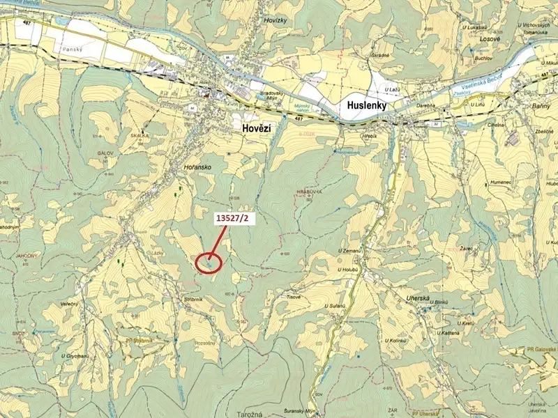 Dražba lesa 1230 m², Hovězí – náhled fotky 1