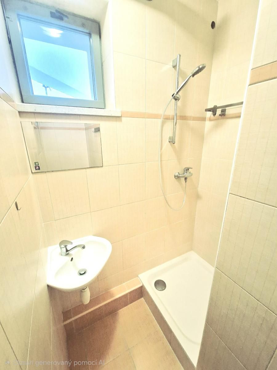 Pronájem bytu 1+1 46 m² – fotografie 4