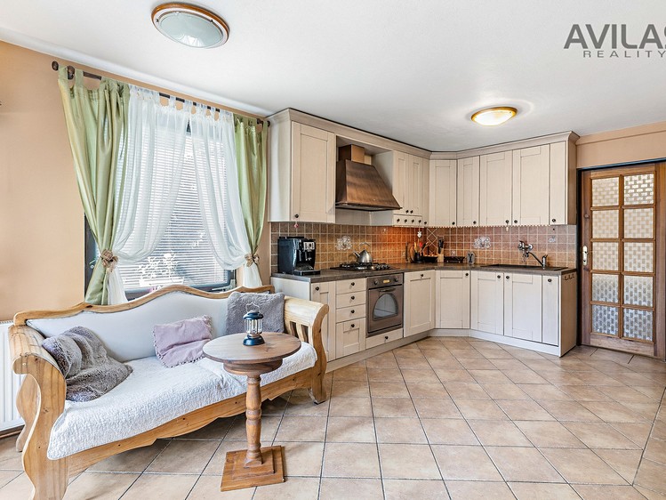 Prodej domu, 300 m² (3 z 41)