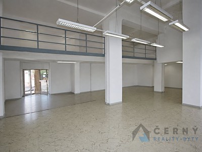 Prodej komerčního prostoru, 266 m² (3 z 12)