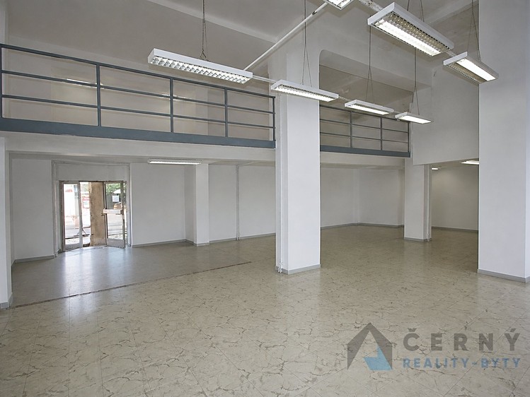 Prodej komerčního prostoru, 266 m² (3 z 12)