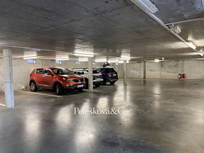 Immobilie zum Kauf, 19 m² (3 von 12)