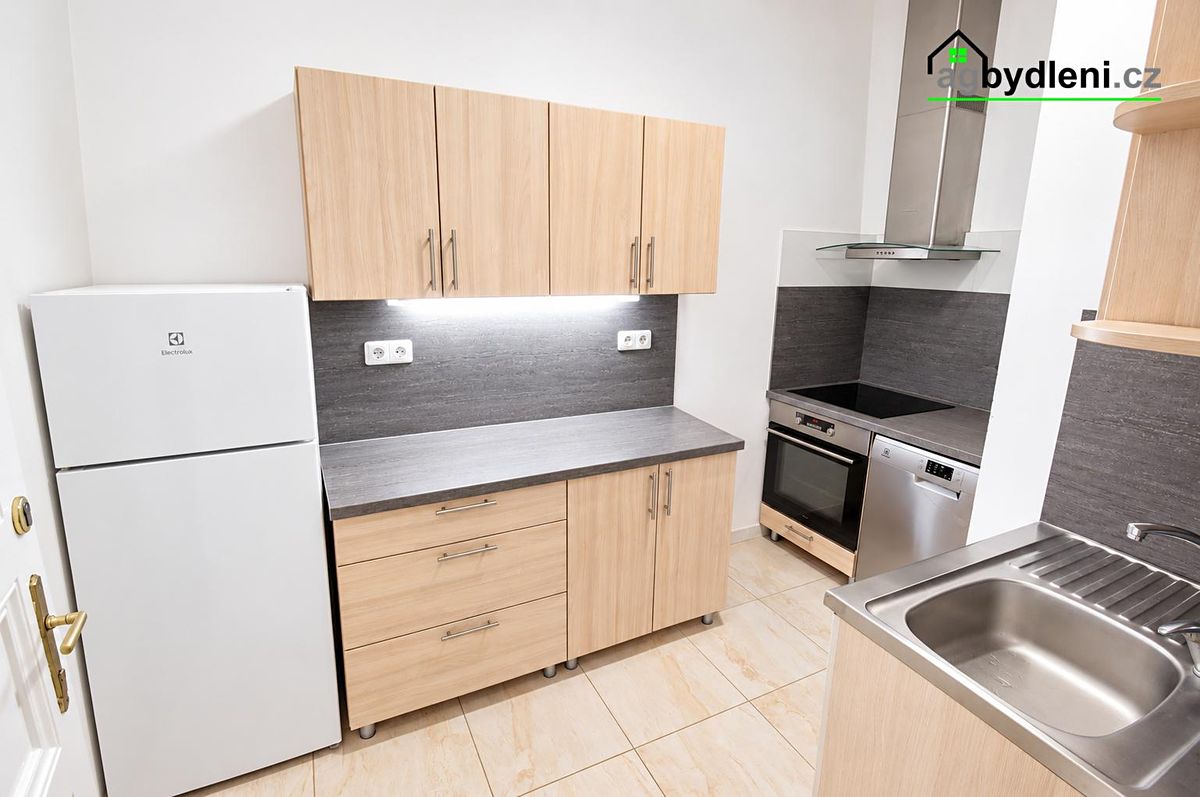 Pronájem bytu 2+1 53 m² – fotografie 2