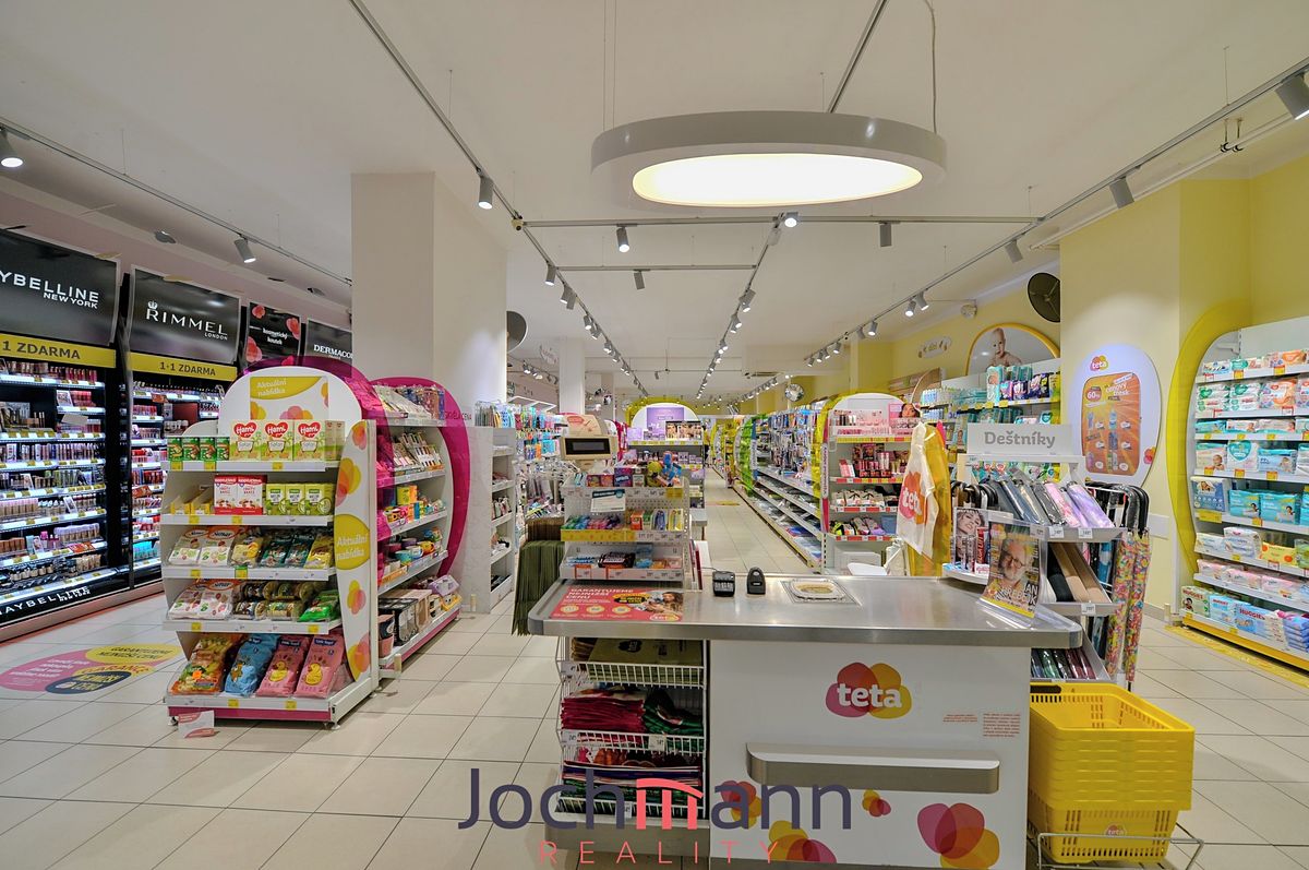 Pronájem obchodního prostoru 340 m² – fotografie 2