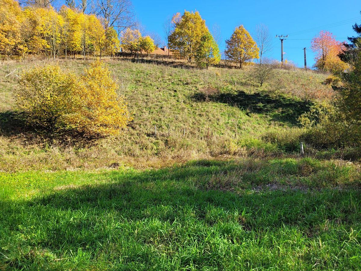 Prodej stavebního pozemku 4996 m² – fotografie 4