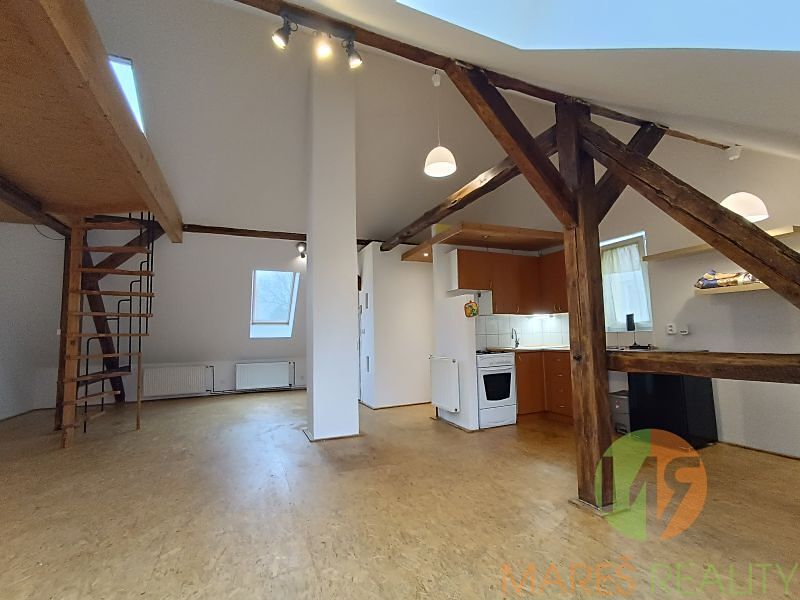 Pronájem bytu 1+kk 60 m² – fotografie 4