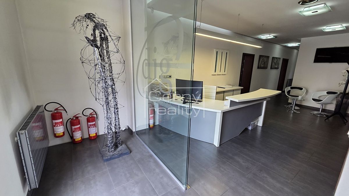 Pronájem kanceláře 140 m²