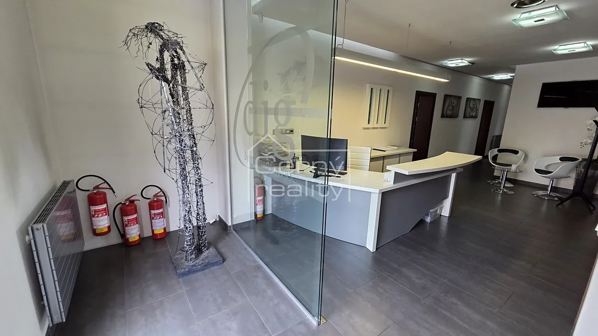 Pronájem kanceláře 140 m²