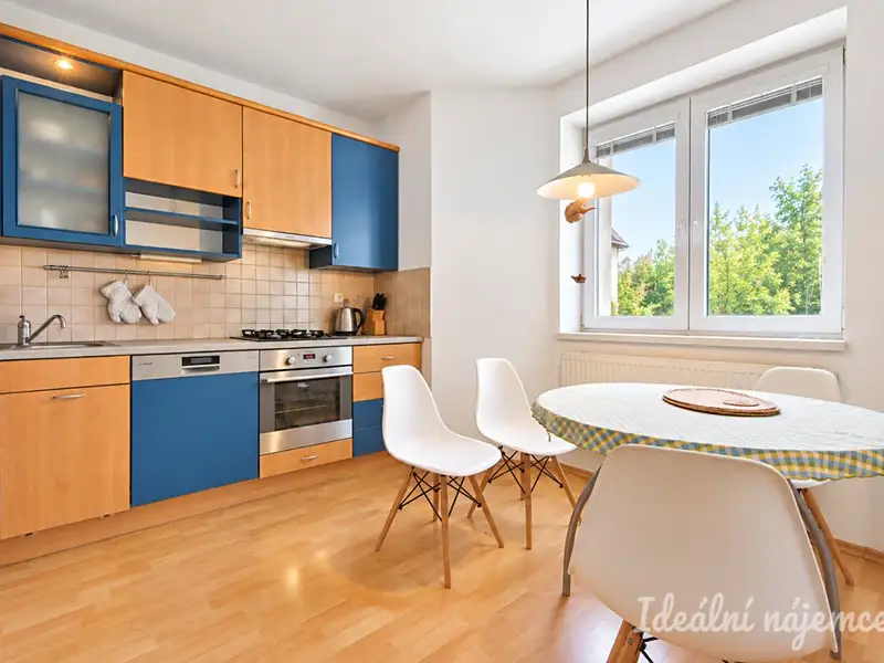Pronájem bytu 3+kk 88 m², Brno – náhled fotky 1