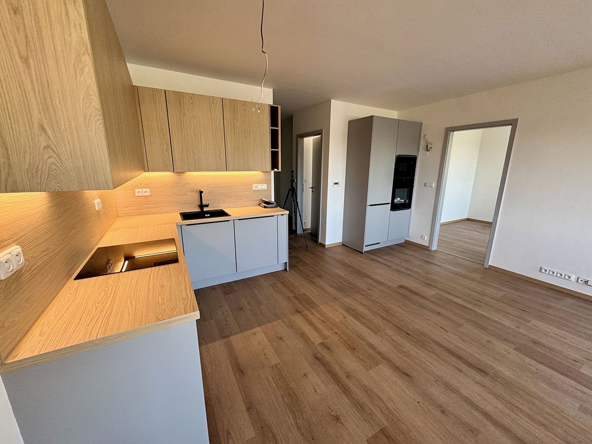 Pronájem bytu 3+kk 73 m² – fotografie 3