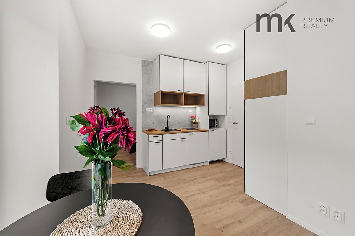 Pronájem bytu 1+1 31 m² – fotografie 4