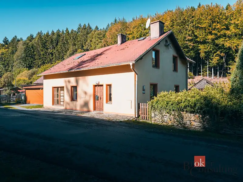 Prodej rodinného domu 223 m², pozemek 883 m², Mnichov – náhled fotky 2