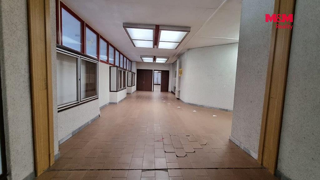 Pronájem obchodního prostoru 270 m² – fotografie 2