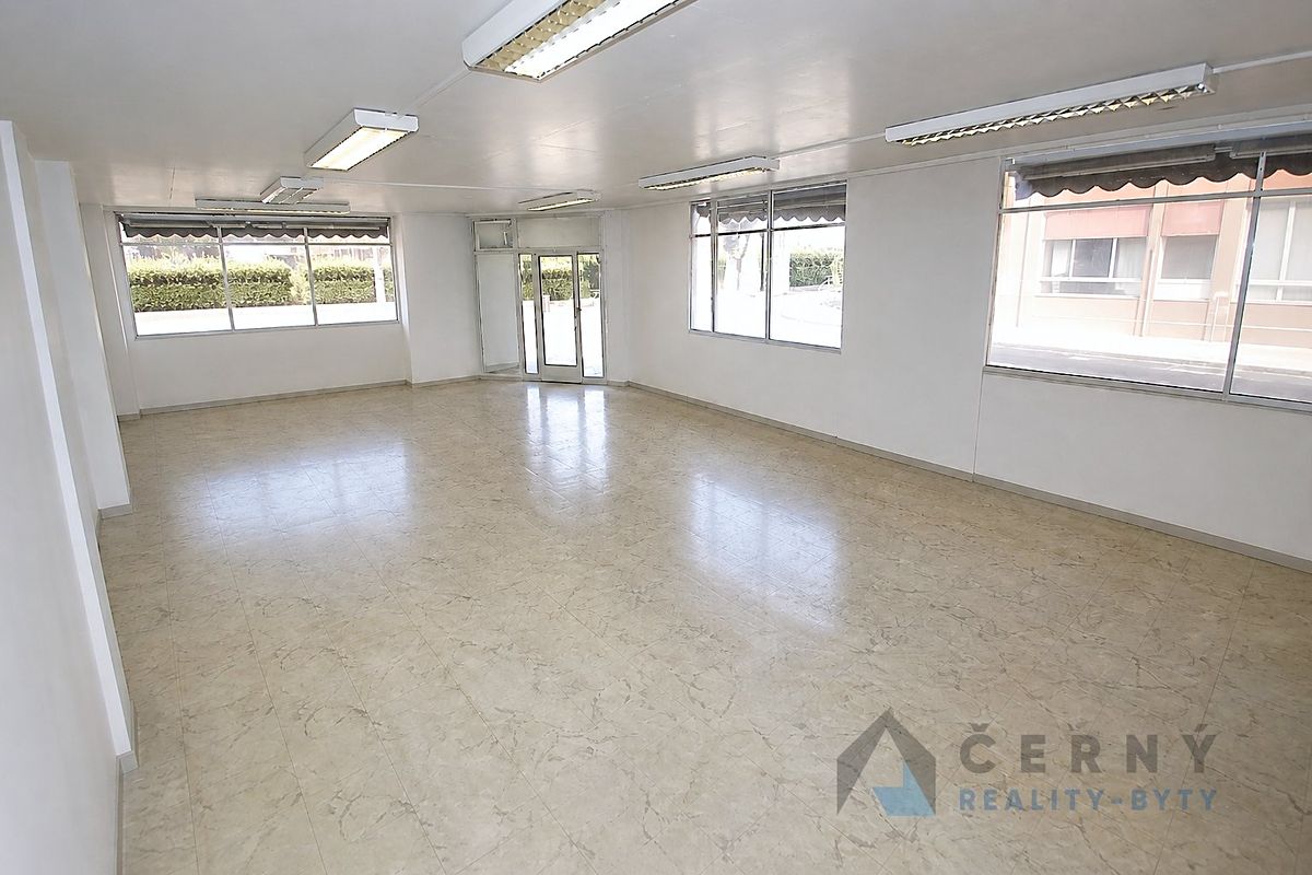 Prodej obchodního prostoru 266 m² – fotografie 2