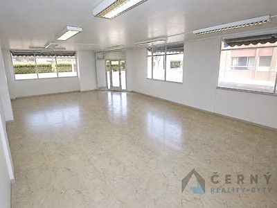 Prodej komerčního prostoru, 266 m² (2 z 12)