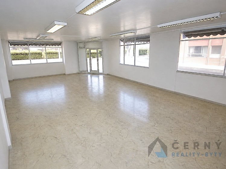 Prodej komerčního prostoru, 266 m² (2 z 12)