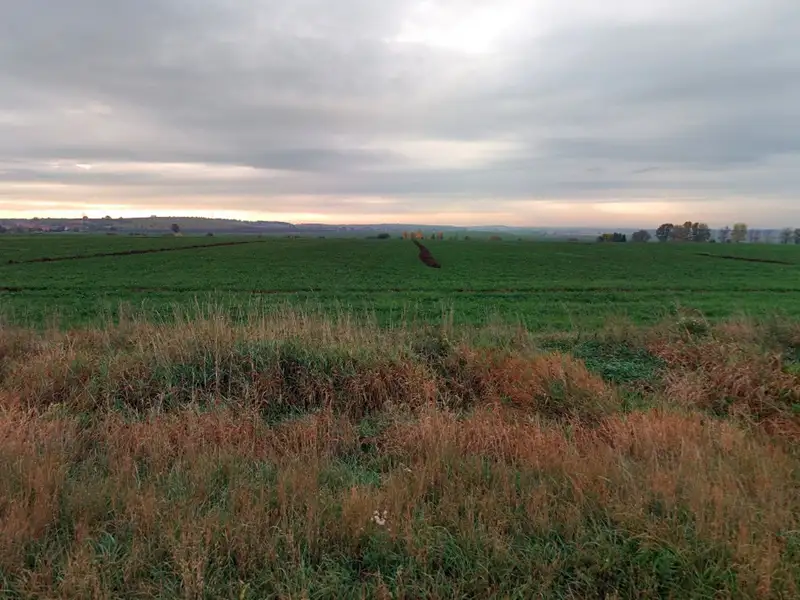 Prodej pole 28943 m², Polní Chrčice – náhled fotky 2