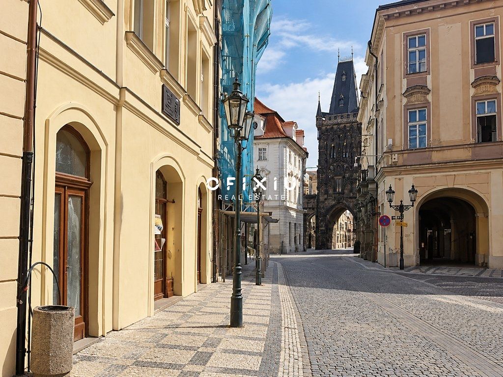 Pronájem obchodního prostoru 460 m² – fotografie 2