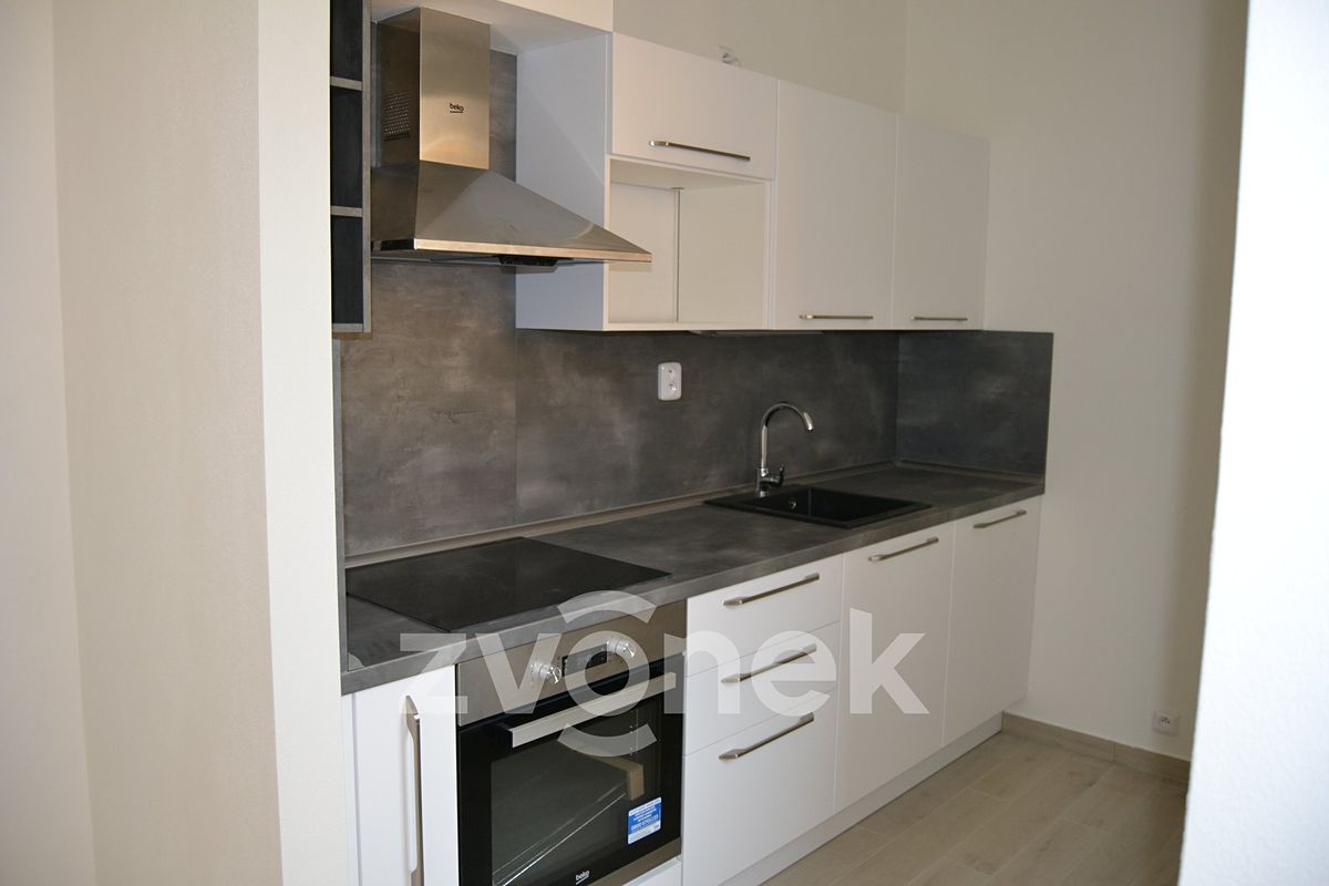 Pronájem bytu 2+kk 55 m² – fotografie 3