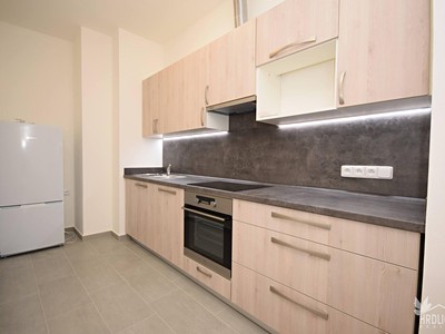 Pronájem bytu 2+1, 74 m² (3 z 11)