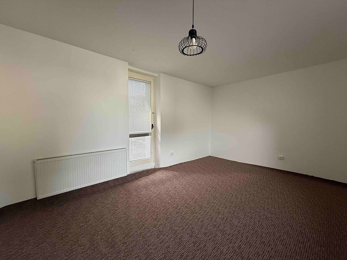 Pronájem bytu 1+1 45 m² – fotografie 3