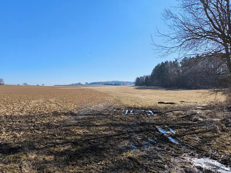 Prodej louky 116147 m², Krahulčí – náhled fotky 3