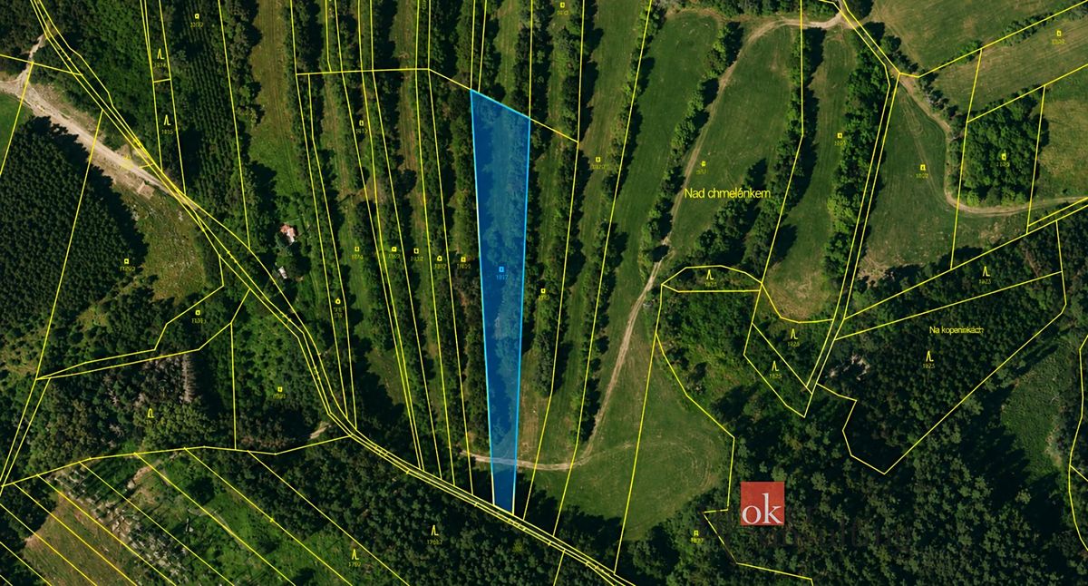 Prodej louky 3075 m² – fotografie 2